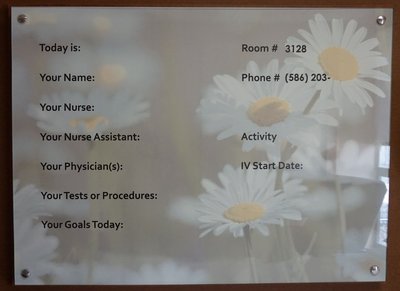 Daisy Background Sign